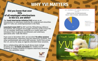 Why the Youth Veterinarian Initiative Matters